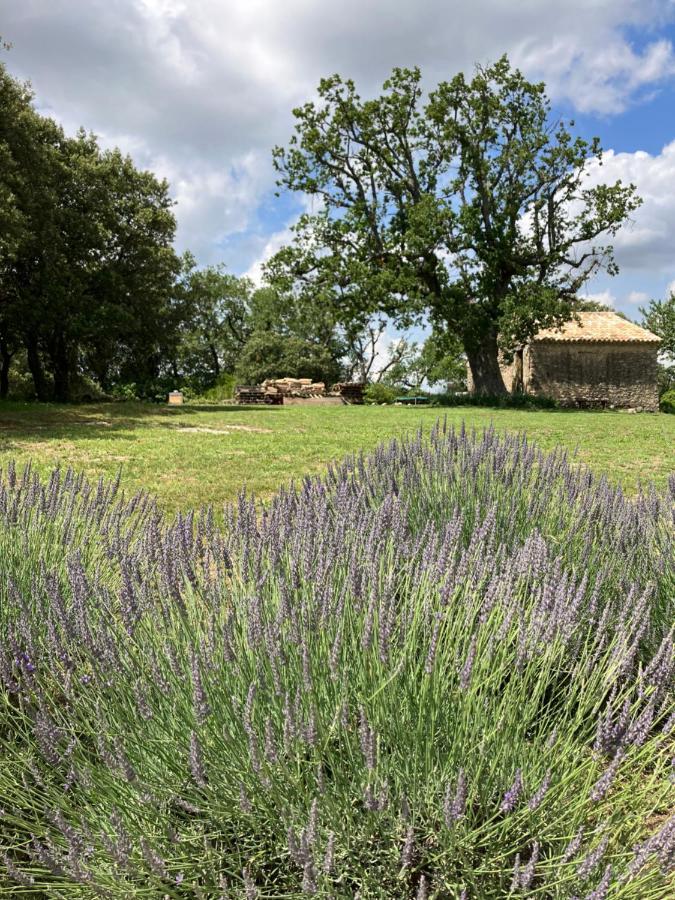 La Bastide Des Roman Βίλα Vernegues Εξωτερικό φωτογραφία